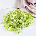 3 Lines Artificial Ixora Flower Garlands – Decorative Wall Hanging for Special Occasions