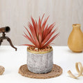 Mini Artificial Succulent with Ceramic Pot – A Touch of Nature with Zero Maintenance