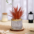 Mini Artificial Succulent with Ceramic Pot – A Touch of Nature with Zero Maintenance
