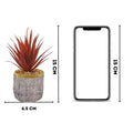 Mini Artificial Succulent with Ceramic Pot – A Touch of Nature with Zero Maintenance