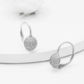 Silver Zircon Sparkle Drop Earrings – Radiance in Pure 925 Silver